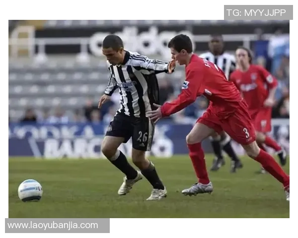 冰岛足球明星阵容揭秘他们如何在国际赛场上崭露头角