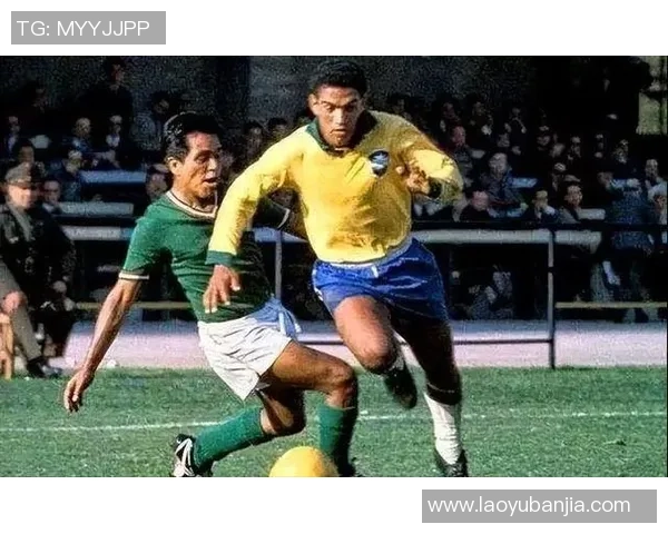 巴西足球明星的传奇故事与他们的辉煌成就探秘