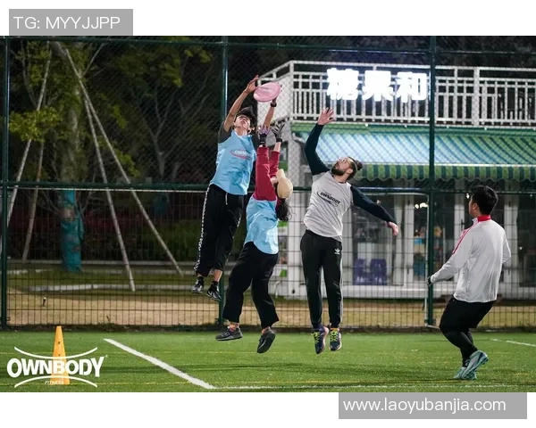 杭州飞盘队运营分析与反思探索成功与挑战的经验教训