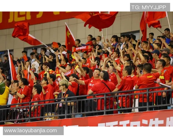 足球咋了球迷热议赛场变革与未来发展方向分析