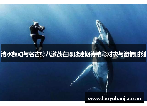 清水鼓动与名古鲸八激战在即球迷期待精彩对决与激情时刻